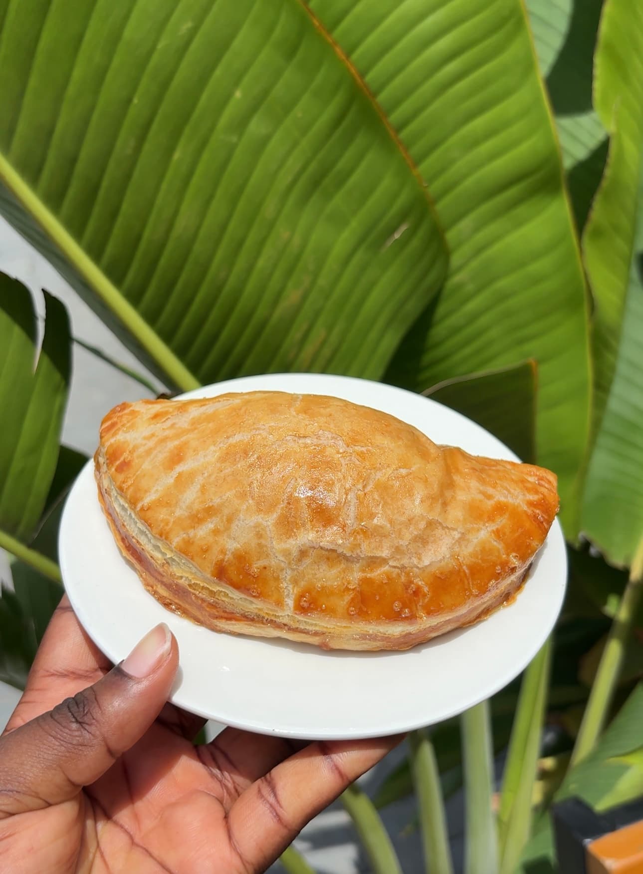 chicken-pie